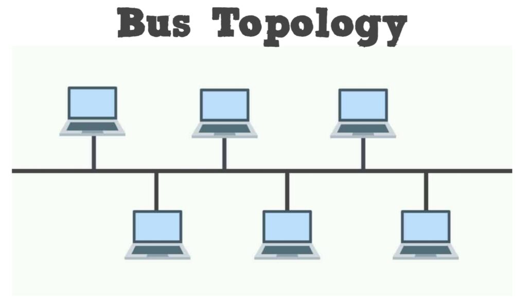 what is bus topology