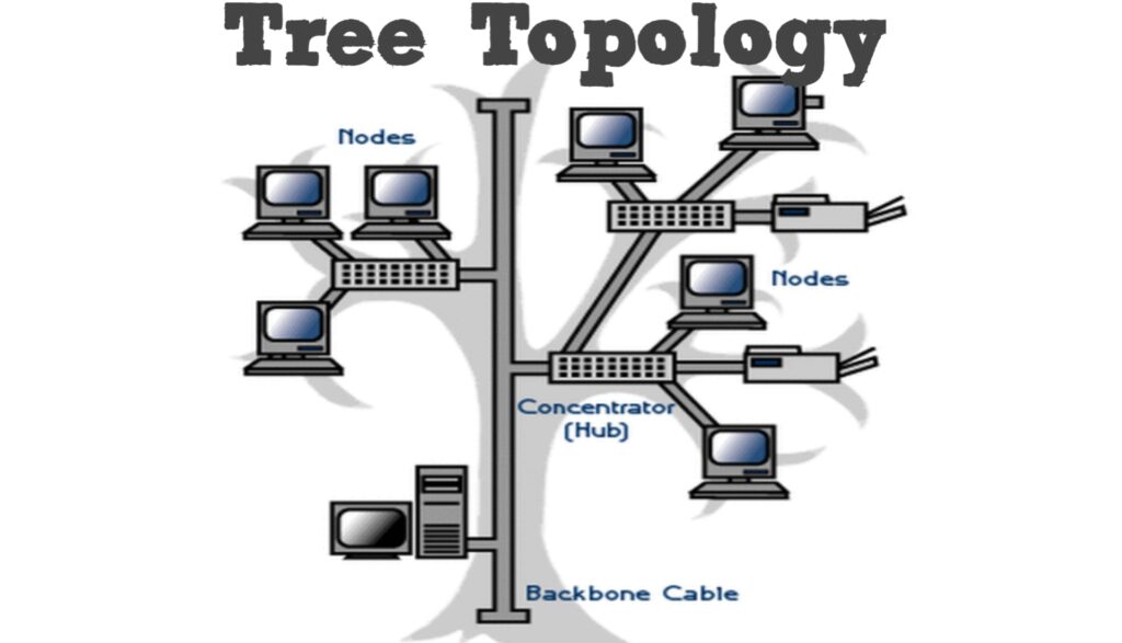 What is tree topology